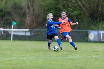 Bild 244 - wCJ VfL Pinneberg - Alstertal-Langenhorn : Ergebnis: 0:8